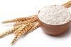 Wheat and flour