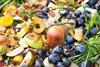 Businesses must ‘step up to the plate’ to cut food waste