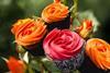 Say it with flowers: the flavour trends to watch