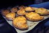 Cornish Prima Bakeries anticipates rapid growth