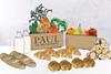 Paul launches same-day grocery delivery service