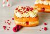 Raspberry Cheesecake Doughnut - CSM Ingredients  2100x1400