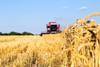 Your views wanted on AHDB cereals strategy