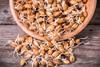 Sprouted grain researchers secure £650k funding