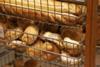 Value of global bakery expected to rise 1.6%