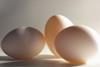 BEIC  “disgusted” with non-compliant egg producers