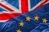 FDF sees fall in pre-Brexit business confidence