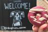 Dog treat: Bakery creates pooch-friendly doughnuts