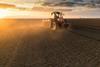 Wheat plantings forecast to reach five-year high