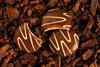 Fox’s Burton's Companies - Fox’s Chocolatey Pumpkin Spice choc - 2100x1400