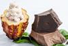 Barry Callebaut launches 100% cacaofruit chocolate