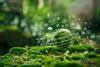 iStock-2129400358