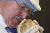Search begins for the 2020 World Scotch Pie Champion