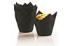 New Black Tuxedo tulip muffin wrap from i2r