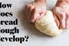 Knead to Know: Dough