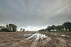 Wet weather takes toll on autumn wheat plantings