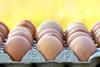 Cocovite manufacturer reassures customers following fipronil egg alert