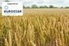 Index image for regen ag feature