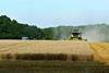2016 US wheat harvest expected to shrink