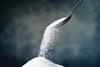 Sugar reduction targets: the industry reacts