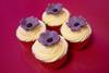 Birds Bakery Remembrance Day cupcakes
