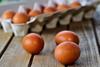 New fipronil contamination brings call for egg testing