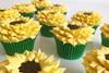 My Baker sun flower cupcakes