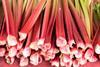 Bakery trends to watch in 2019: Rhubarb