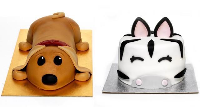 Sammy sausage 2024 dog cake