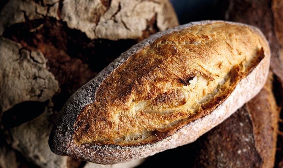Can traditional sourdough be produced on a mass scale?