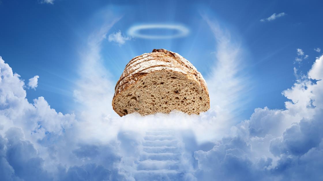 how-can-bakers-put-a-health-halo-around-the-bread-category-feature