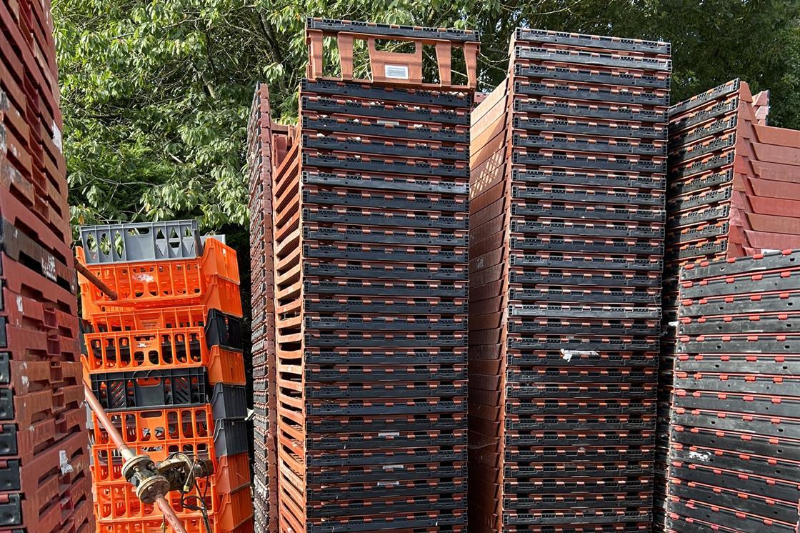 Bakers Basco expands to Northern Ireland and Scotland News British