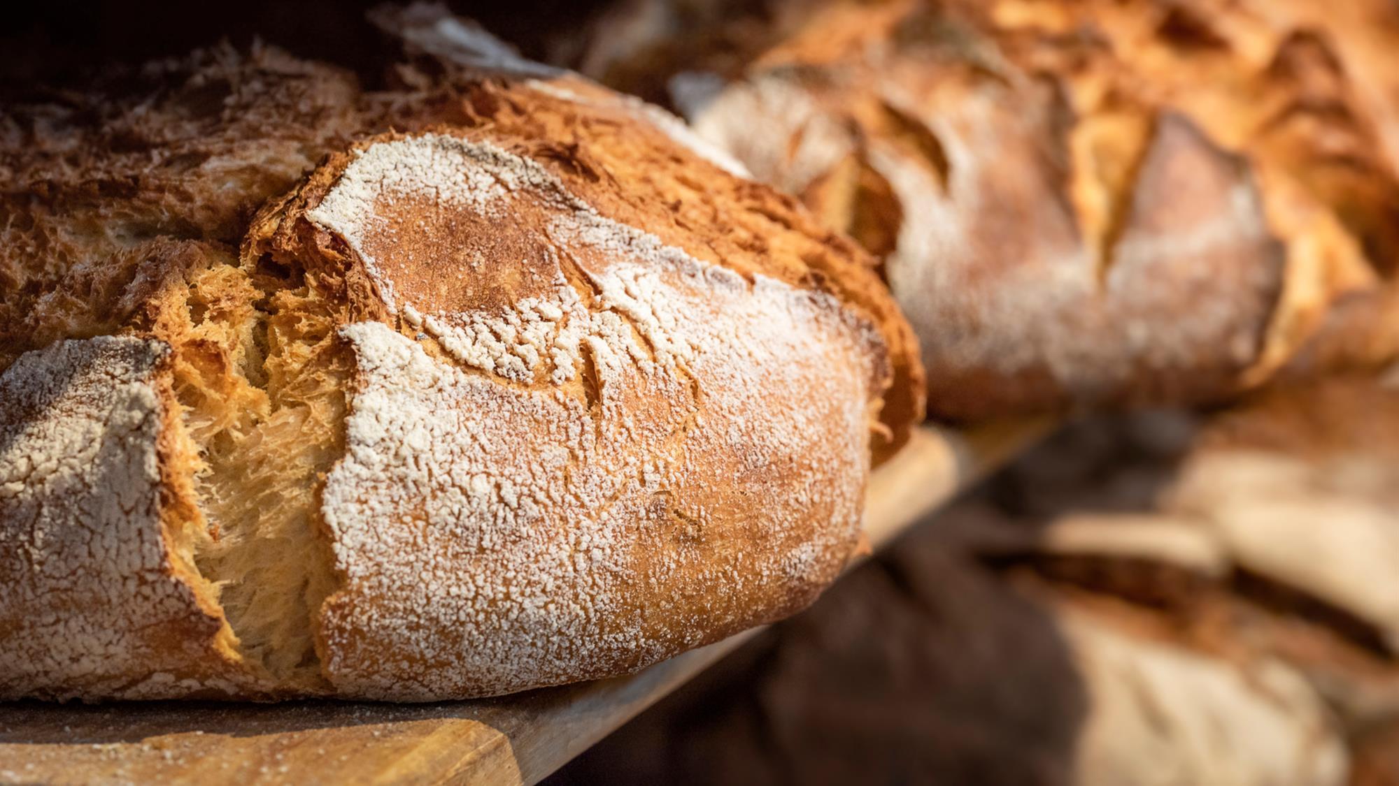 Délifrance reveals bread trends for 2021 and beyond Feature British Baker