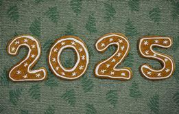 2025 gingerbread