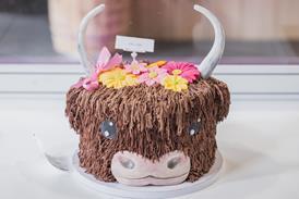 A cake decorated to look like a Highland Cow