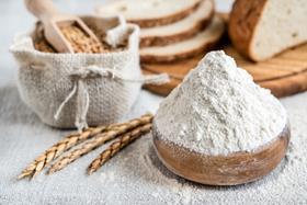 wheat and flour-AdobeStock_235604159 resized