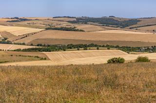 Brown fields in rural Sussex on a hot summer's day
