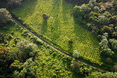 wcf-ci-vigne-2023-08-2400x1400