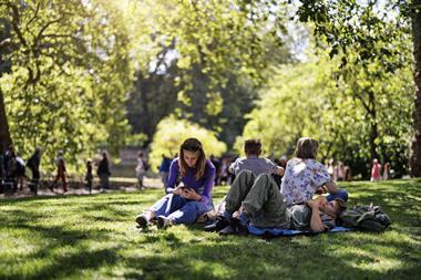 People have a sunny picnic