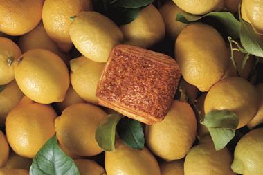 Bridor - Lemon Sensation pastry on lemons - 2100x1400