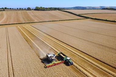 Getty Images - 1484104242 SteveAllenPhoto