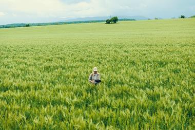 Getty Images - Among the recommendations for farmers are to present claims on better flavour, less chemicals and provenance rather than saying they are 'regenerative' -  2260601398 Daniel Balakov