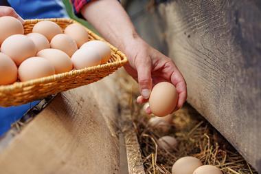 Getty Images - 2164829018 Sergii Kolesnikov