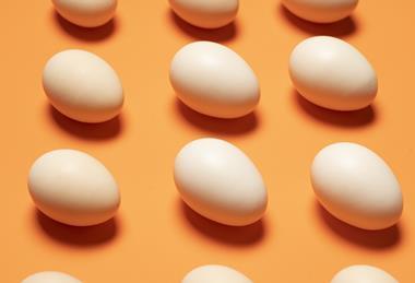 Eggs on an orange background