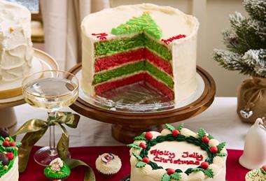 Hummingbird Christmas tv