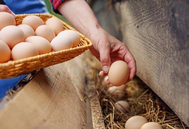 Getty Images - 2164829018 Sergii Kolesnikov