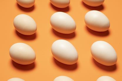 Eggs on an orange background