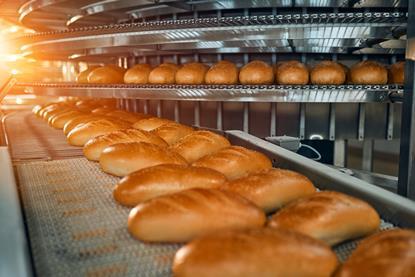 Sesame topped buns on a bakery manufacturing line