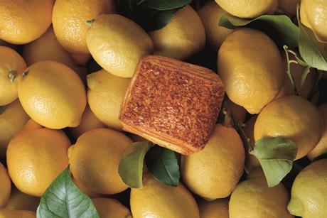 Bridor - Lemon Sensation pastry on lemons - 2100x1400