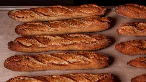 Imma the Bakery - Cantabrian Ugi - 3200x1800